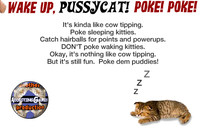 pussycat1.jpg